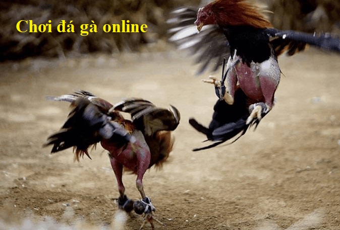 da ga thomo online