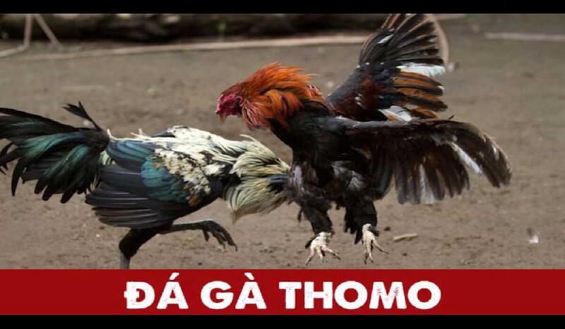  da-ga-thomo-