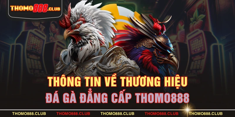 Thông tin về thương hiệu đá gà đẳng cấp THOMO888